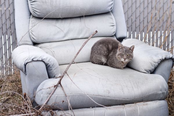 Recliner Disposal in Midlothian
