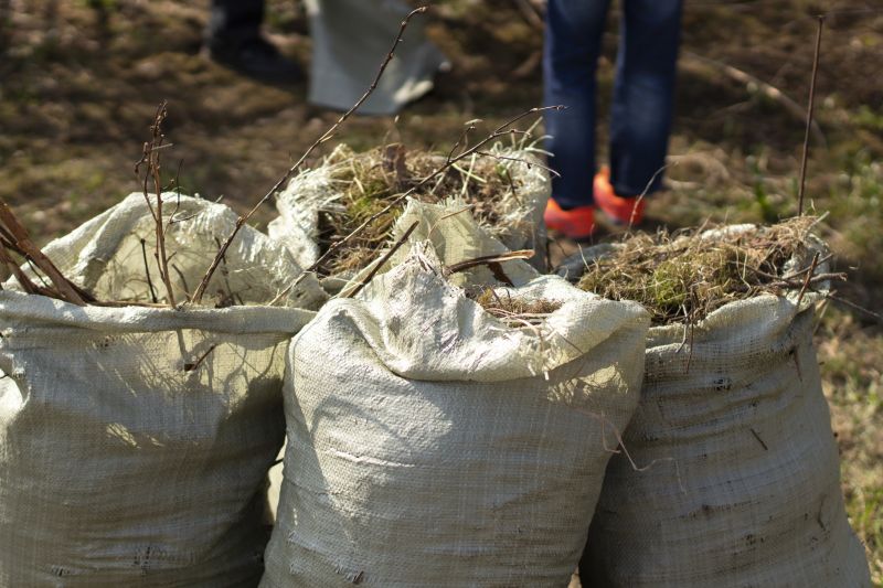 Clutter Removal Service